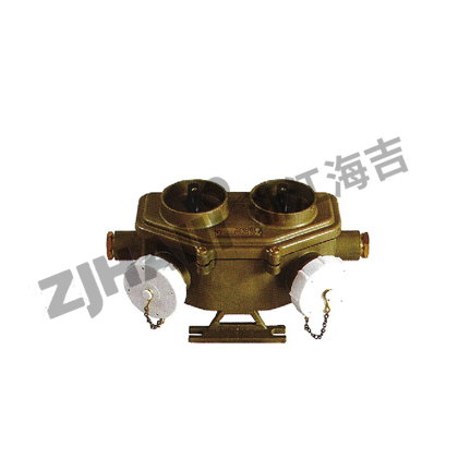 CZKH2-2船用雙聯(lián)銅質帶開關插座